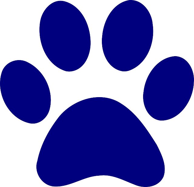 Kissat 3 paw