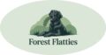 Sileäkarvaiset noutajat - forest flatties